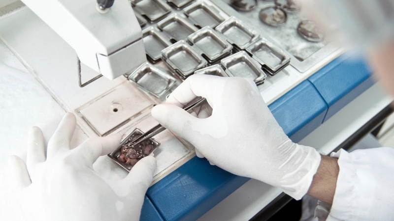 Tissue Sample prep